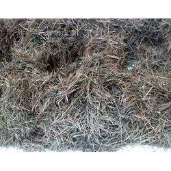 灵宝市伏秦苗木花卉繁育中心