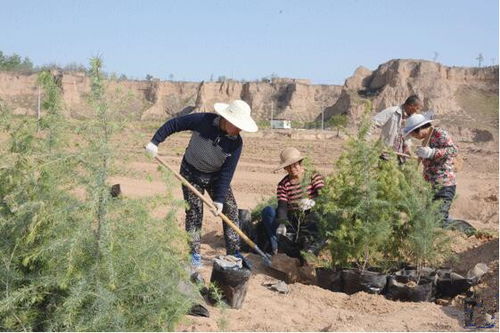 河津市润兴园苗木培育