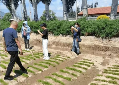 林业 市种苗站到涿调研良种苗木繁育项目